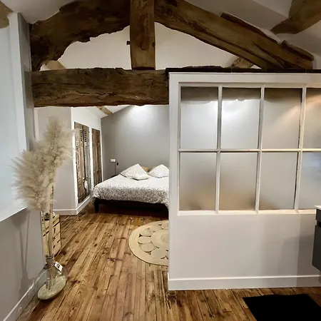 Les Hirondelles Du Marais 3* Riom