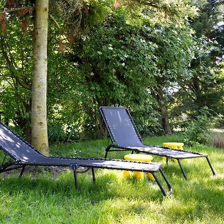 Les Hirondelles Du Marais